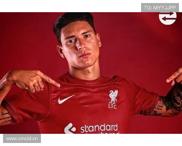 努涅斯本菲卡时期荣誉解析：成名基础是否扎实