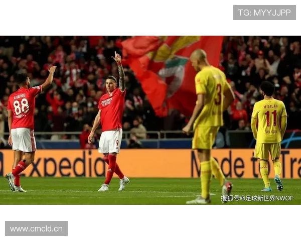 本菲卡时期荣誉：努涅斯的成名基础