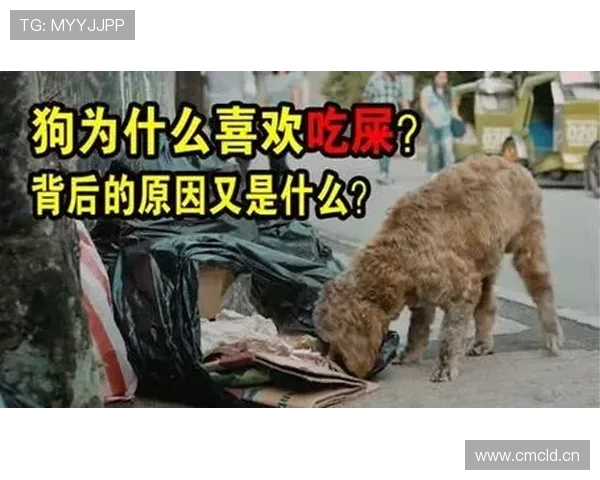 颜骏凌家的狗吃的比我都贵